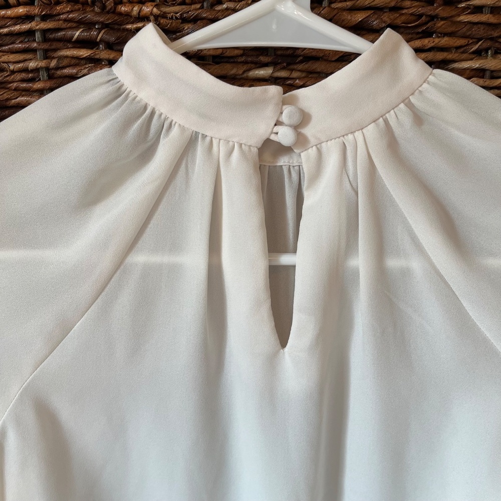 Romantic Sheer Blouse - Picture 3 of 5